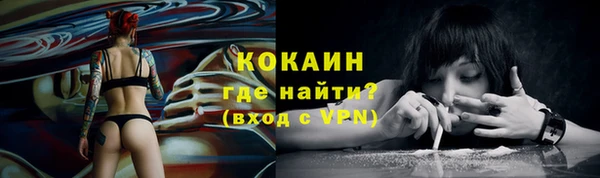 прущие грибы Белая Холуница