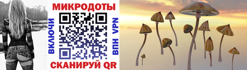 купить закладку  Уфа  Галлюциногенные грибы прущие грибы 