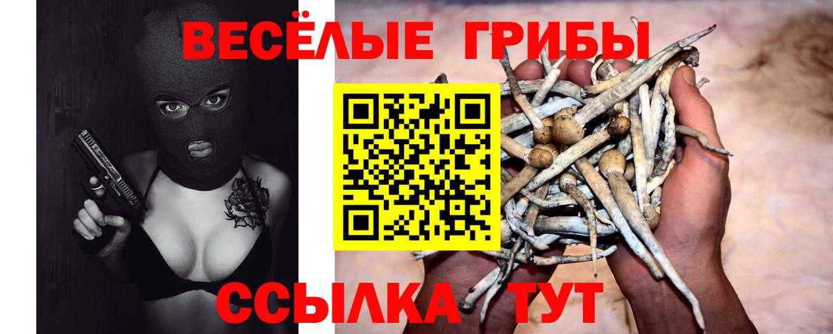Псилоцибиновые грибы MAGIC MUSHROOMS Уфа